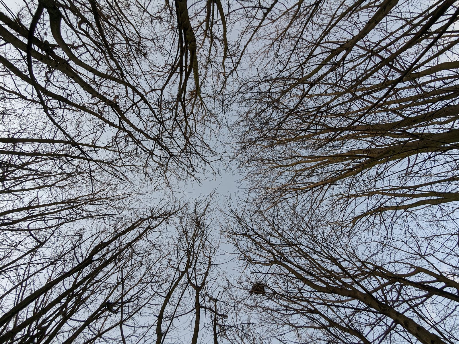 PXL 20230109 154116963