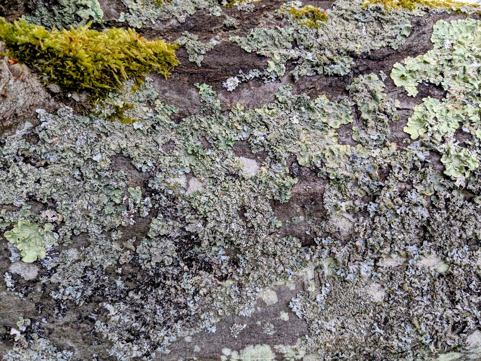 PXL 20250415 054139664 EDIT