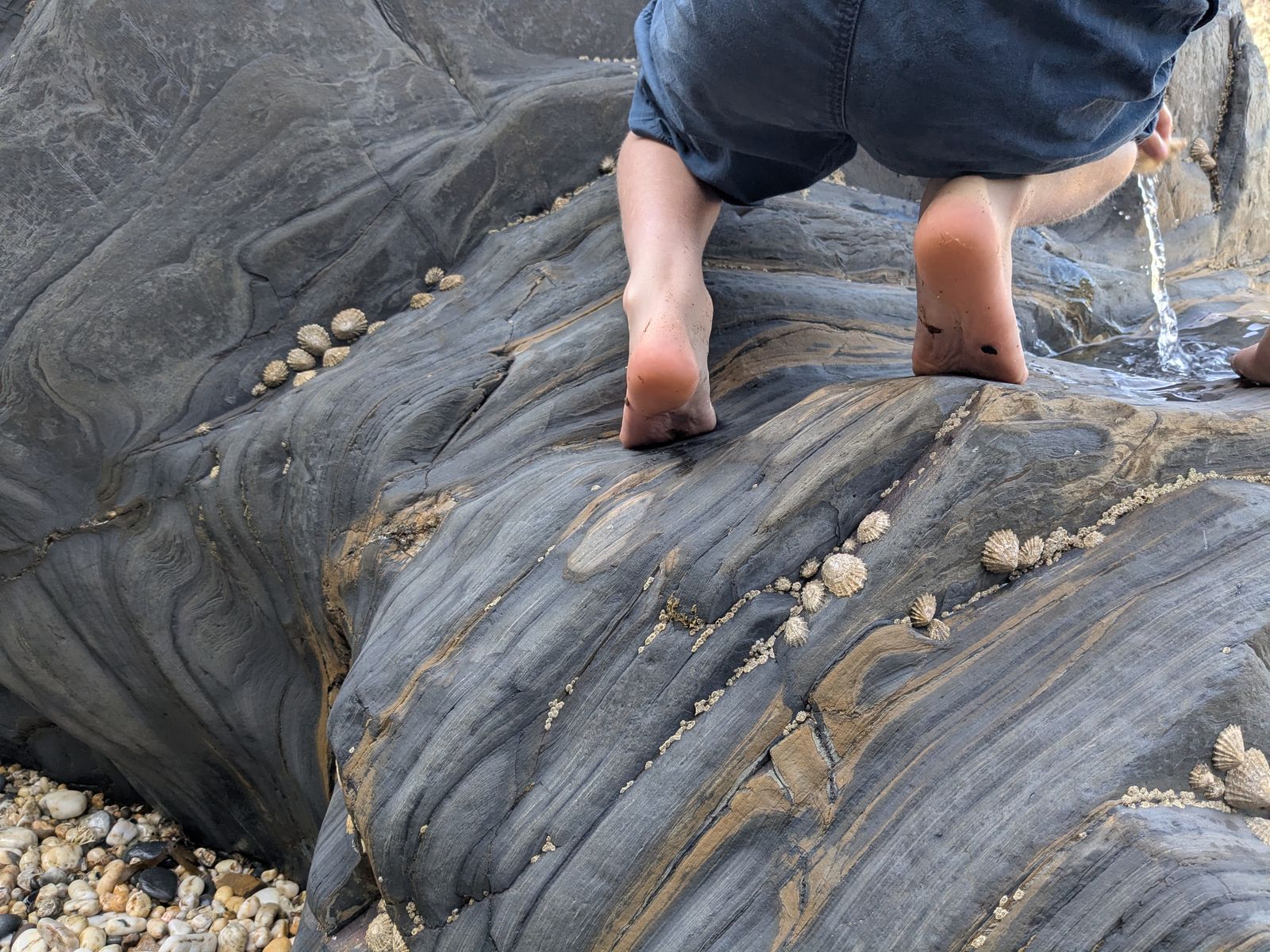 PXL 20250727 141411127